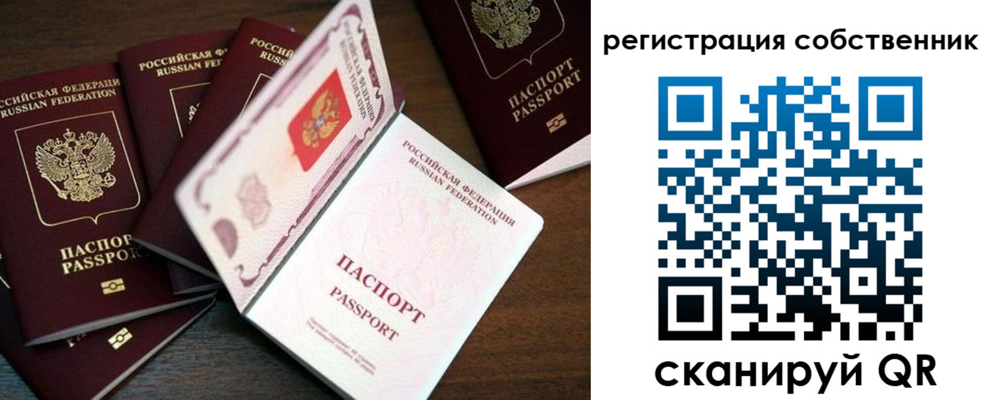 прописка гарантия в Саранске