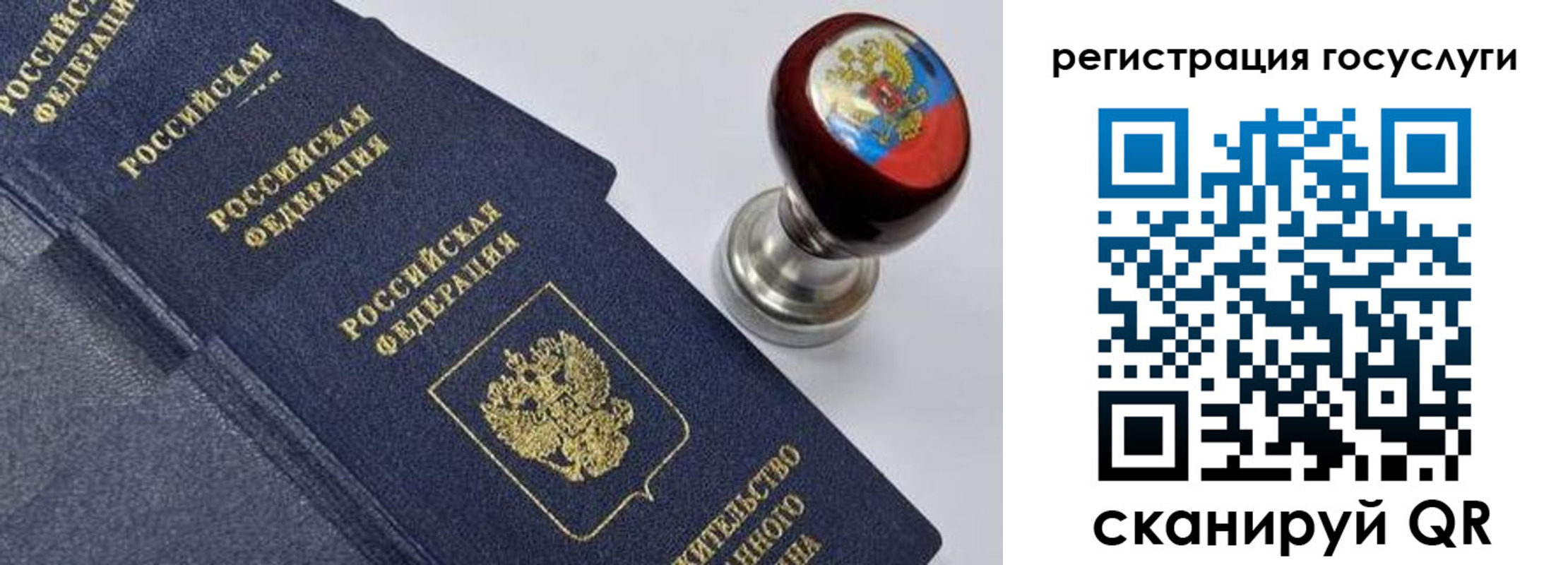 прописка поиск в Саранске
